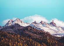 拜仁在米勒门上演五球屠杀，刷新德甲单赛季进球纪录